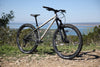 Fairdale Elevator 29" Hardtail MTB (Gloss Battleship Gray in M or L)